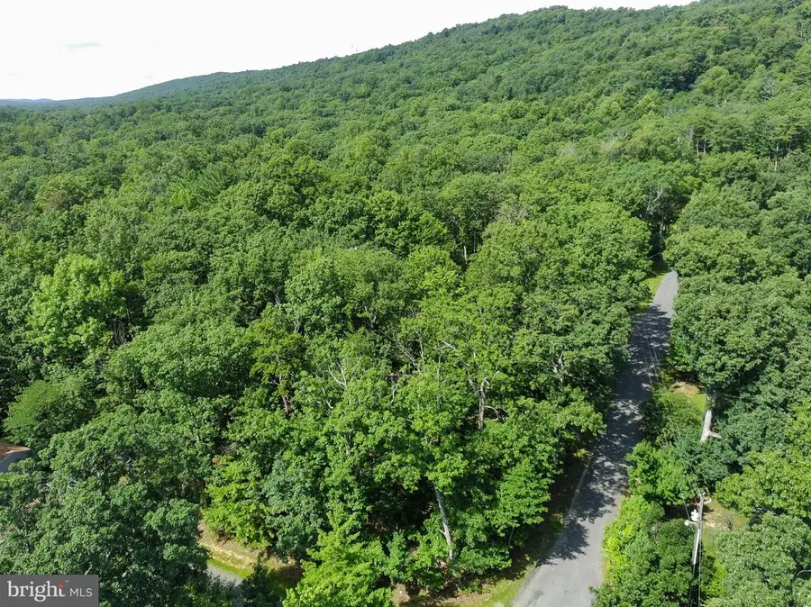 15797 Hickory Ln, Haymarket, VA 20169 - #2