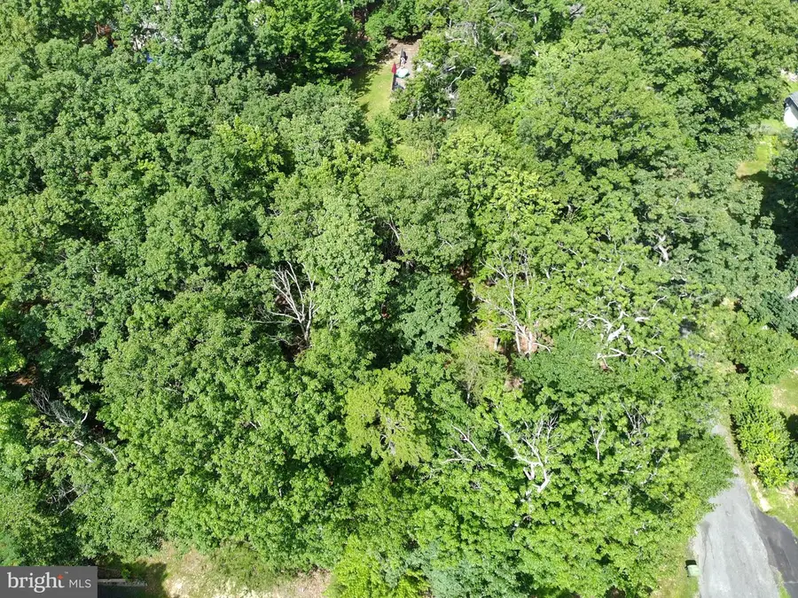 15797 Hickory Ln, Haymarket, VA 20169 - #3