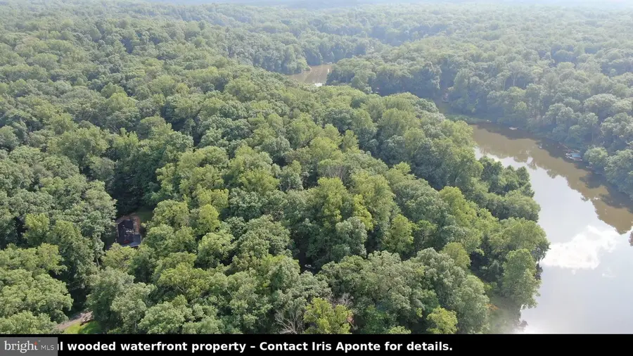 11761 Stanbaugh Ln, Manassas, VA 20112 - #2