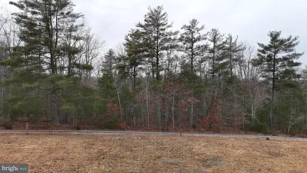 00 Elderberry Ln, BUENA VISTA, VA 24416