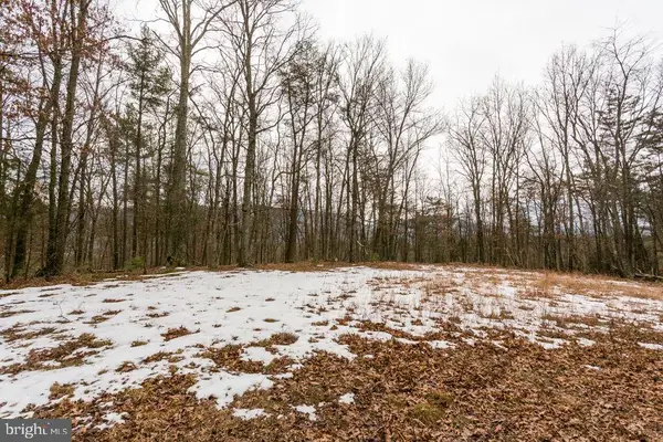 Lot 44 Rainbow Ridge Rd, BERGTON, VA 22811