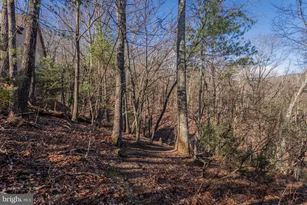 141 Laird Pl., MCGAHEYSVILLE, VA 22840