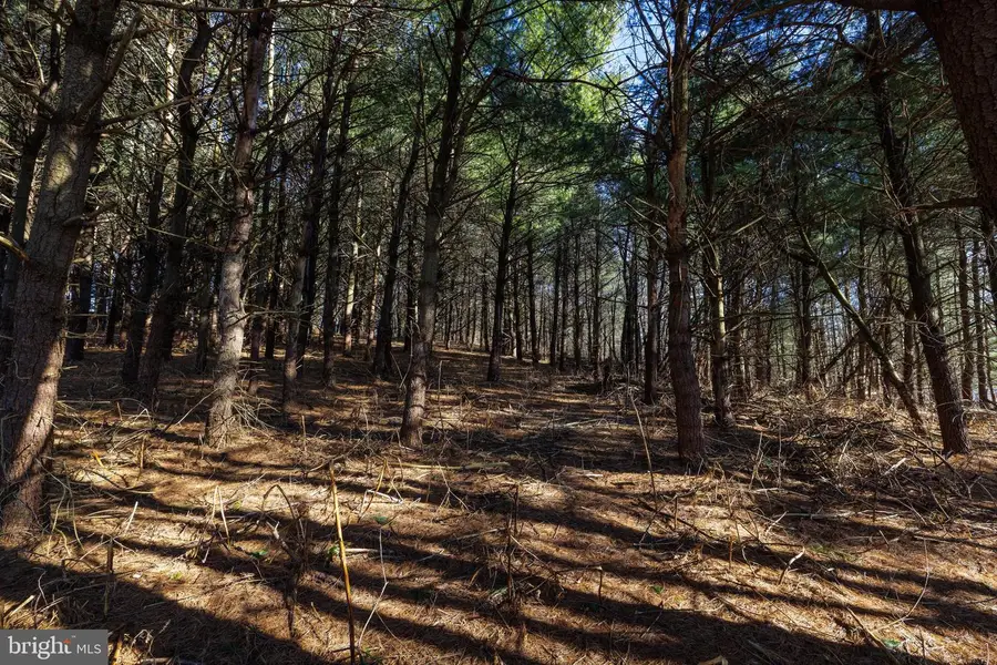 0 Fairview Rd, Mount Crawford, VA 22841 - #2