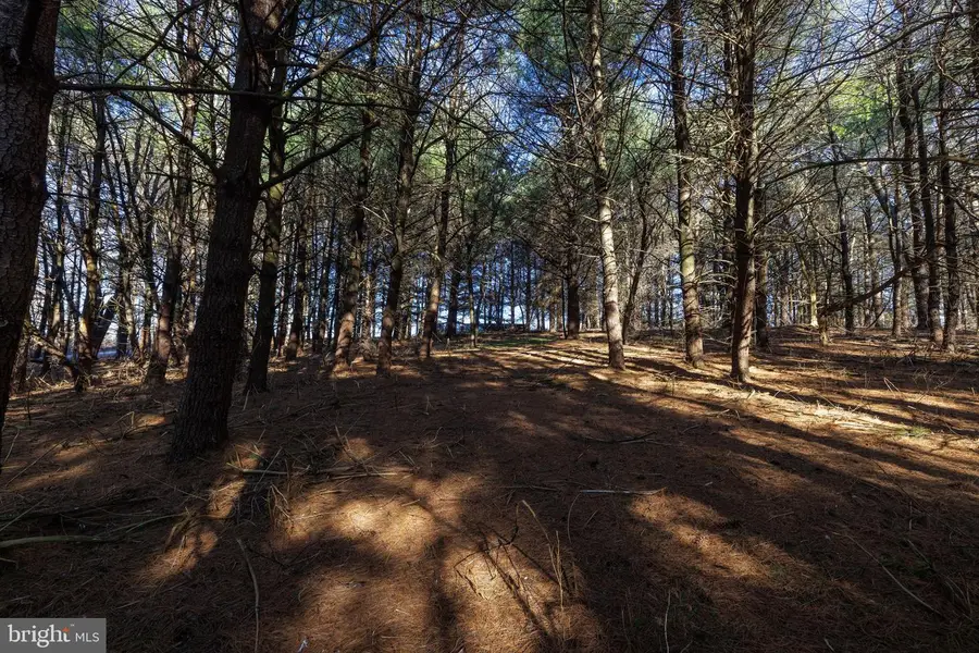 0 Fairview Rd, Mount Crawford, VA 22841 - #3
