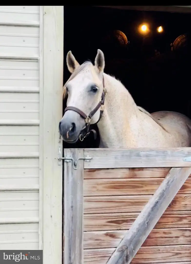 15095 Little Dry River Rd, Fulks Run, VA 22830 - #2