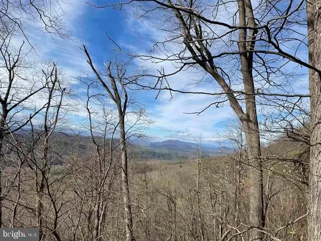 81.5 Acres Hopkins Gap Rd, Fulks Run, VA 22830 - #2