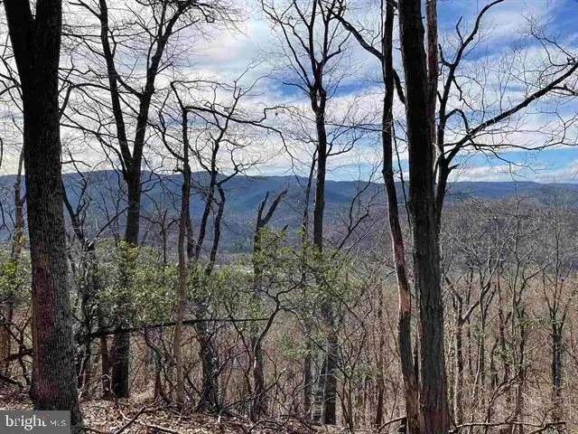 81.5 Acres Hopkins Gap Rd, Fulks Run, VA 22830 - #3