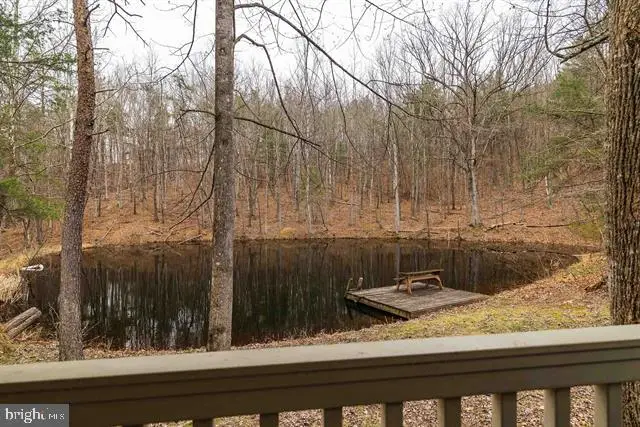Lot 1 Hopkins Gap Rd, Fulks Run, VA 22830 - #2