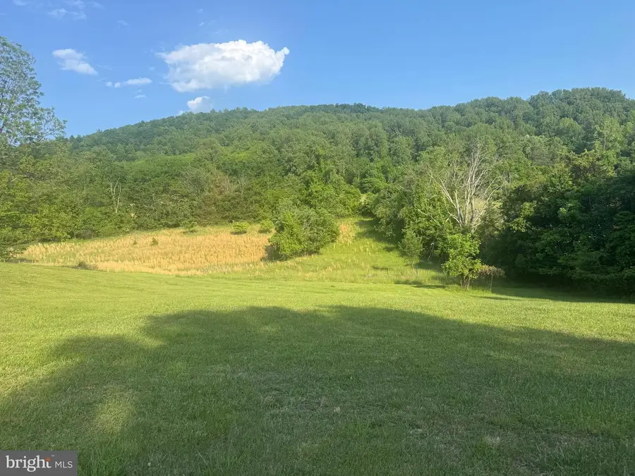 20448 Mount Pleasant Rd, Elkton, VA 22827 - #2
