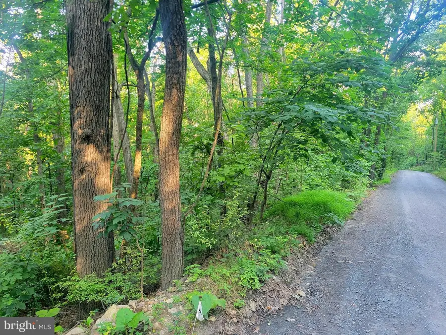 0 Sundance Mt. Rd., New Market, VA 22844 - #2