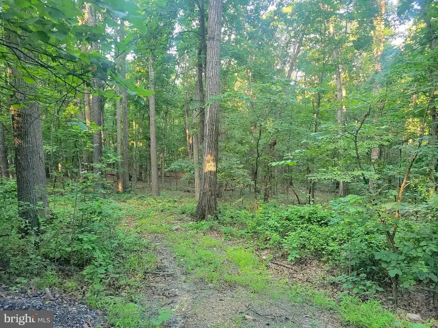 0 Sundance Mt. Rd., New Market, VA 22844 - #3