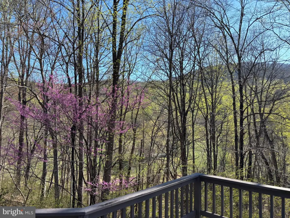 815 Gid Brown Hollow Rd, Washington, VA 22747 - #1