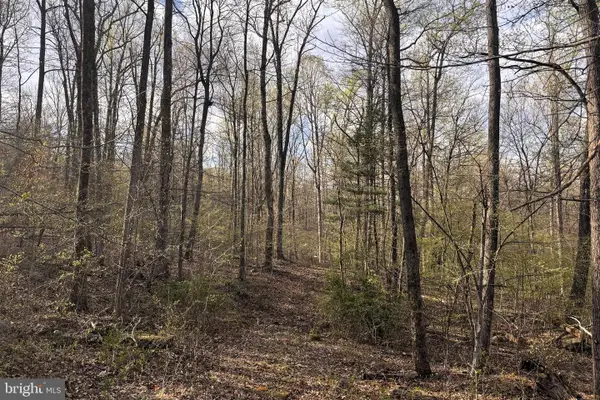 Padua, SPERRYVILLE, VA 22740