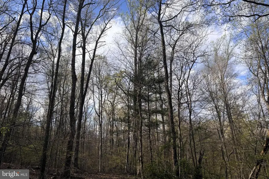 Padua, Sperryville, VA 22740 - #2