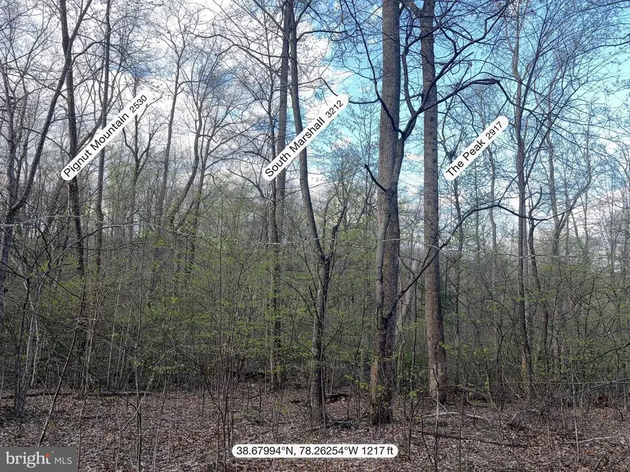 Padua, Sperryville, VA 22740 - #3