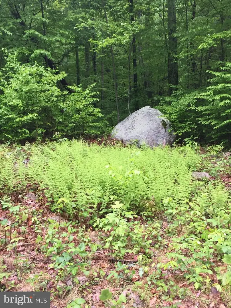 0 Padua Lane, Sperryville, VA 22740 - #3