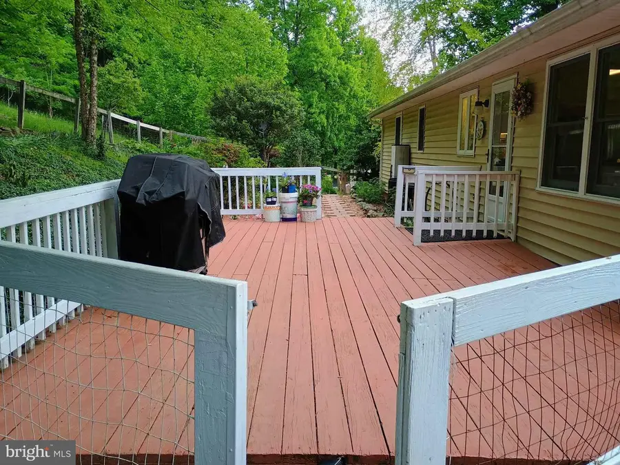 147 Blue Ridge Ave, Chester Gap, VA 22623 - #3