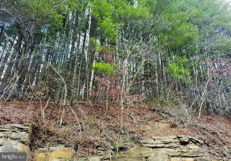 468 Ginseng Hollow, Dante, VA 24237 - #2