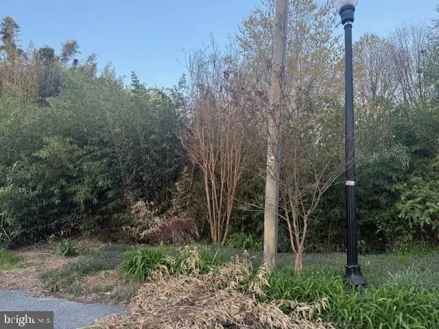 0 Hill Street, Suffolk, VA 23434 - #2