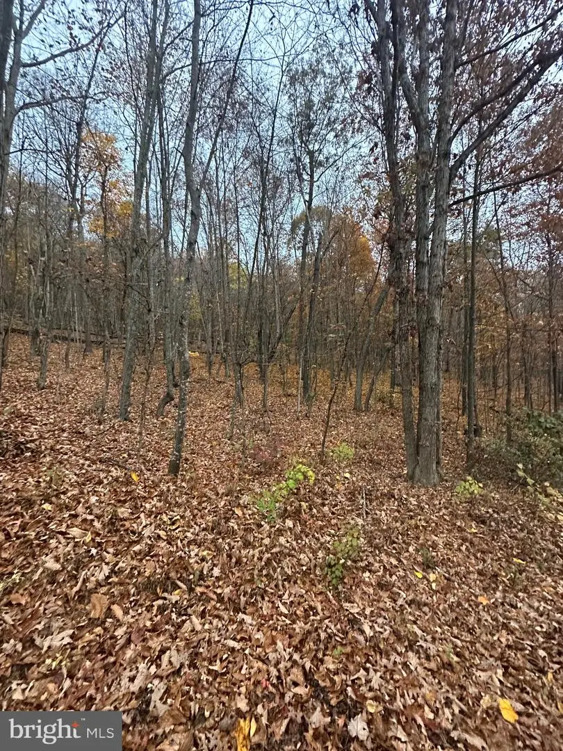 #2