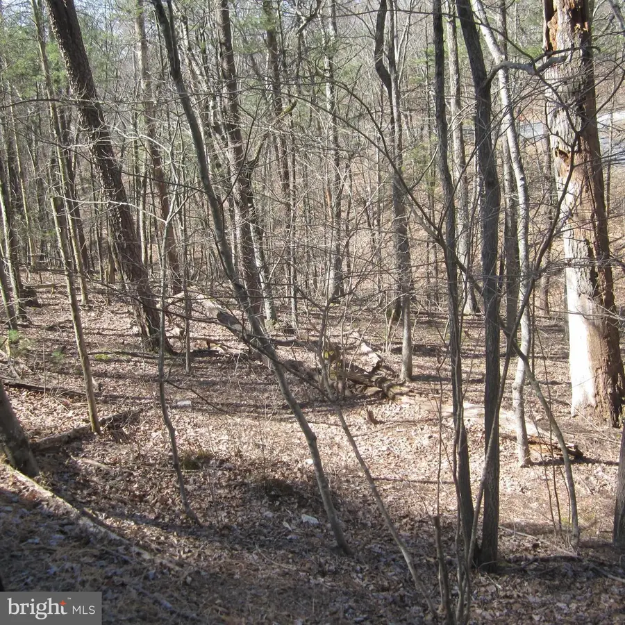 180 Spruce Ln, Mount Jackson, VA 22842 - Image #2