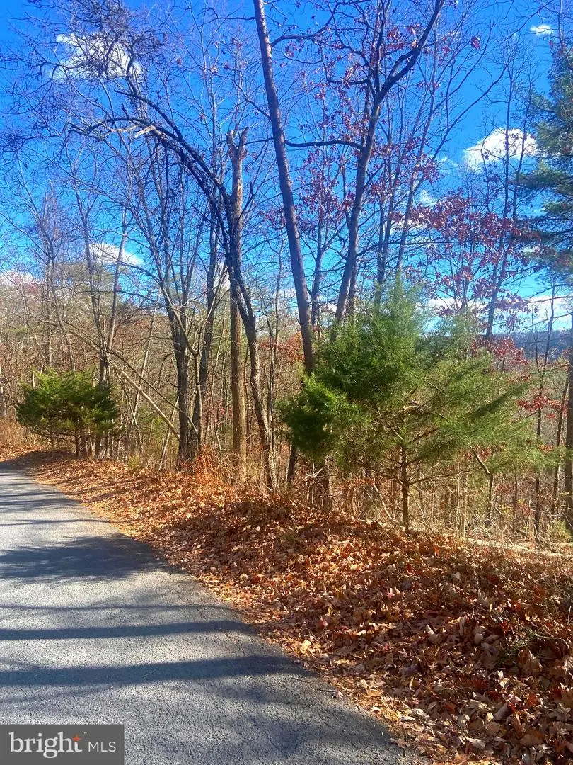 Spitz Ln., Basye, VA 22810 - Image #1