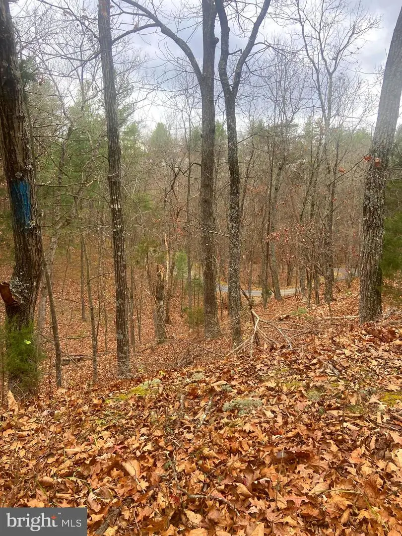 Spitz Ln., Basye, VA 22810 - Image #3