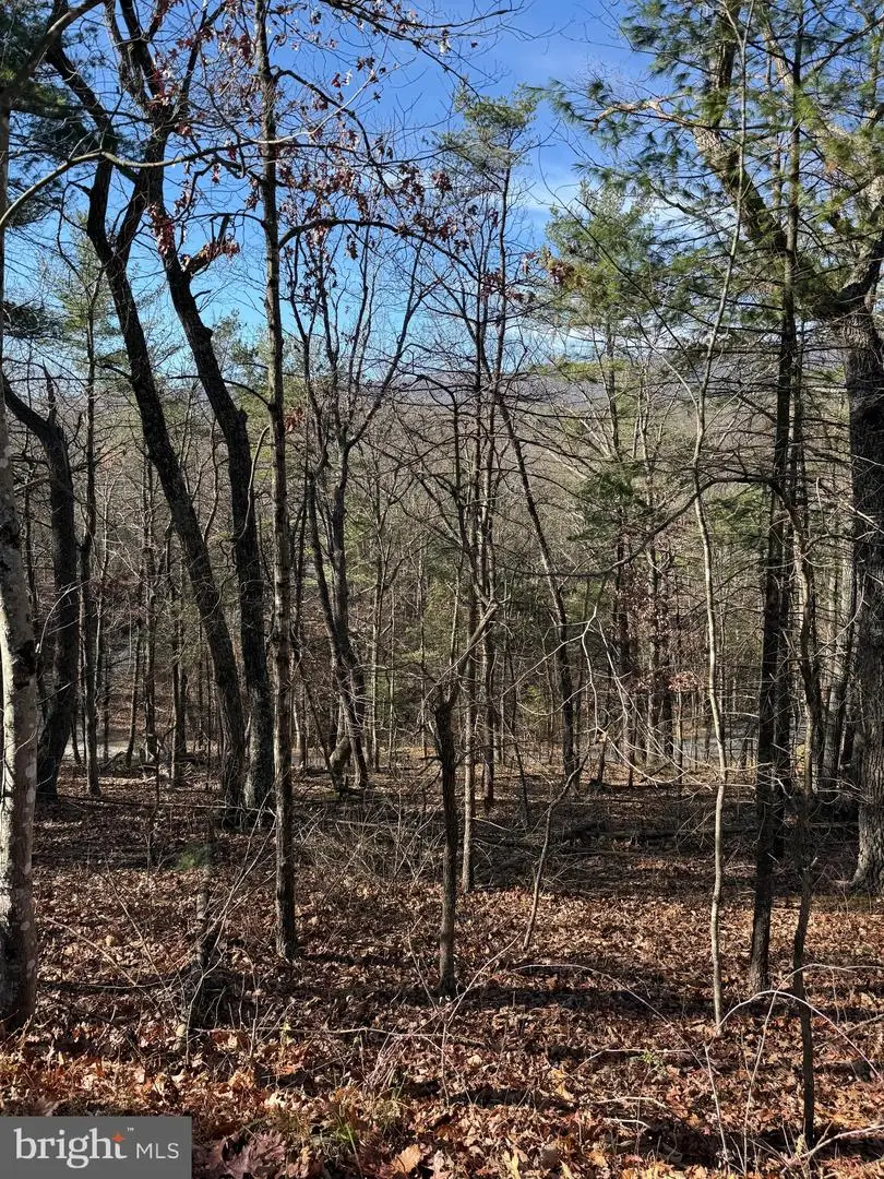 Susan Rd, Mount Jackson, VA 22842 - Image #2