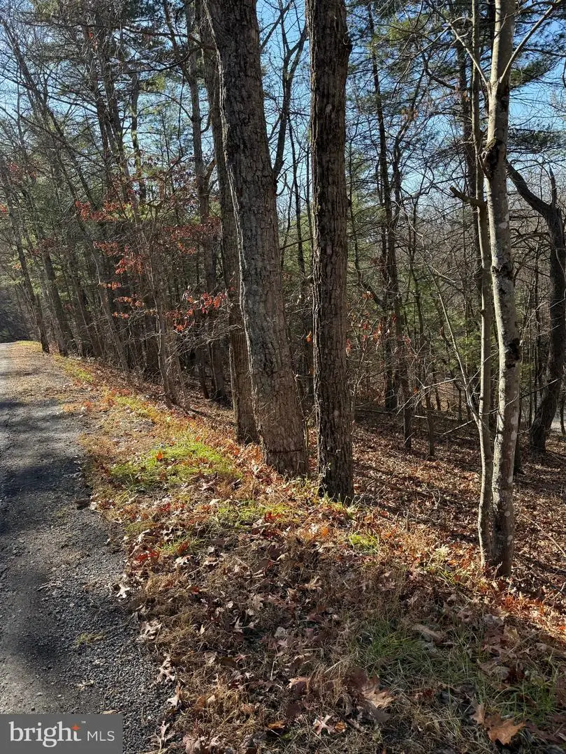 Susan Rd, Mount Jackson, VA 22842 - Image #3