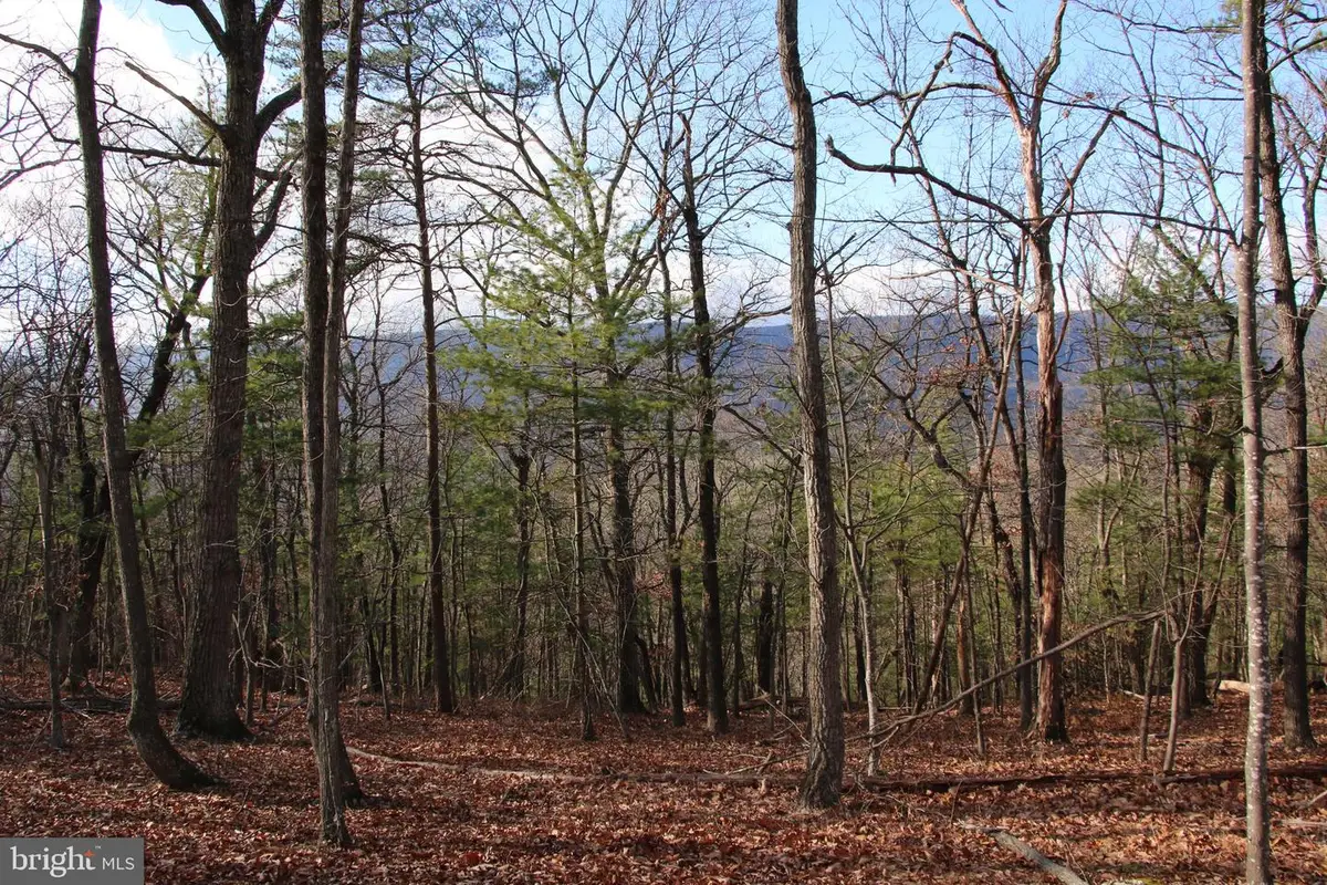 Supinlick Ridge Rd, Mount Jackson, VA 22842 - Image #1