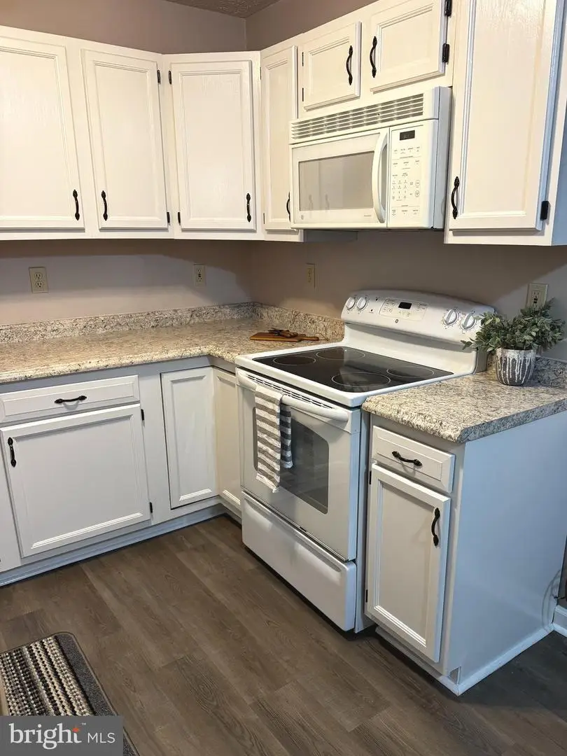 165-g1 Hailey Ln, Strasburg, VA 22657 - Image #2