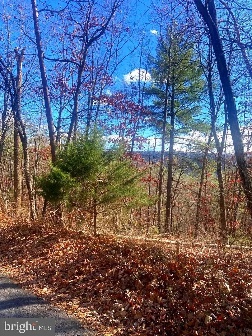 Spitz Ln, Basye, VA 22810 - Image #1