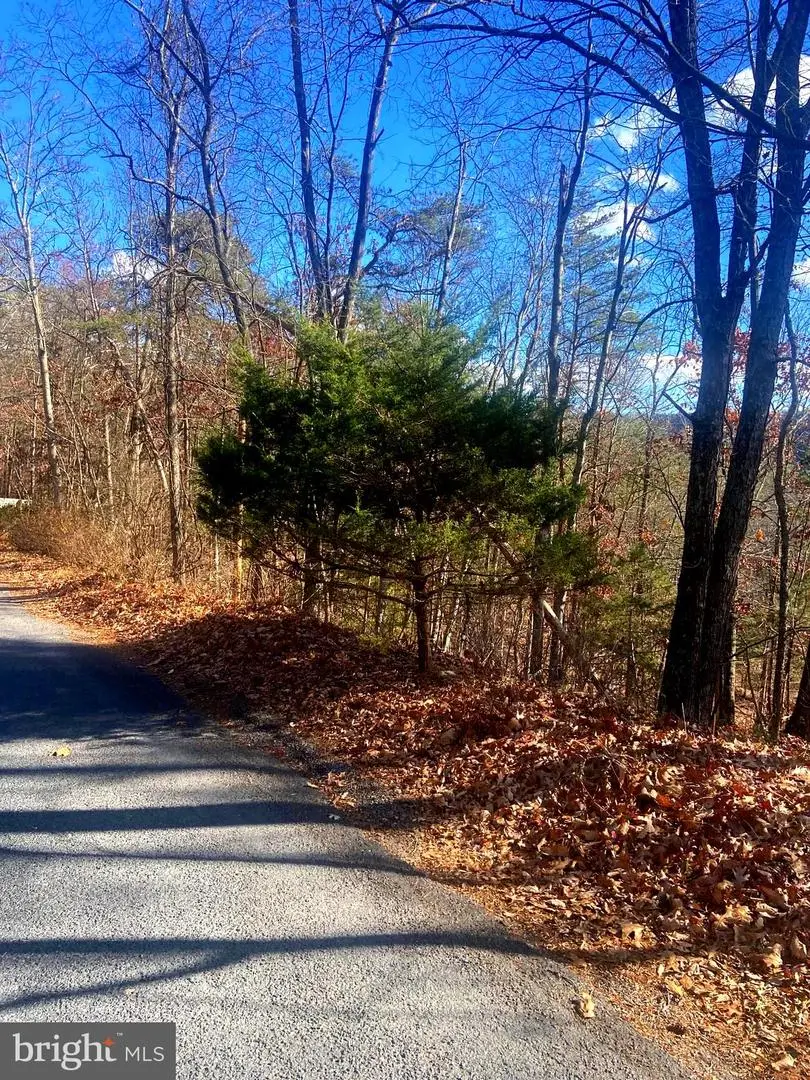 Spitz Ln, Basye, VA 22810 - Image #2