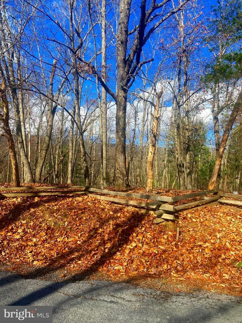 Spitz Ln, Basye, VA 22810 - Image #3