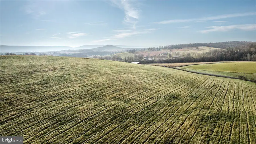 0 Orkney Grade, Mount Jackson, VA 22842 - Image #2