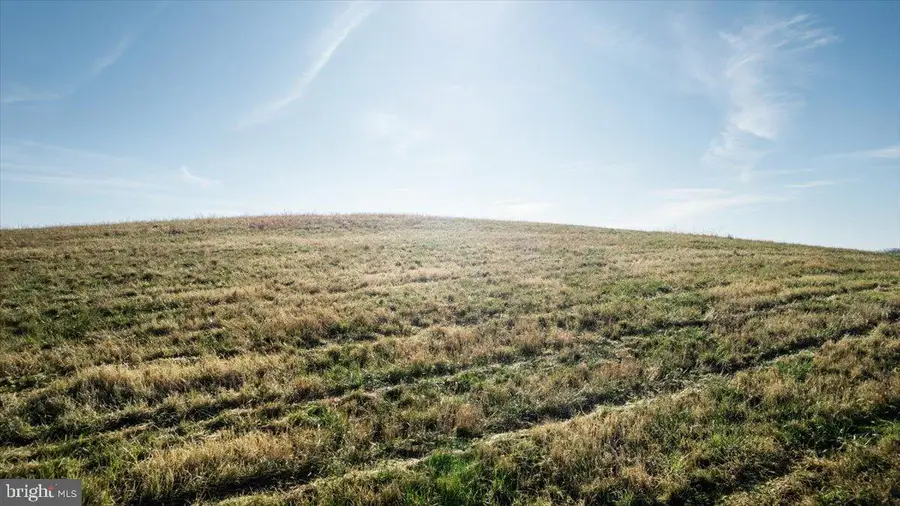 0 Orkney Grade, Mount Jackson, VA 22842 - Image #3