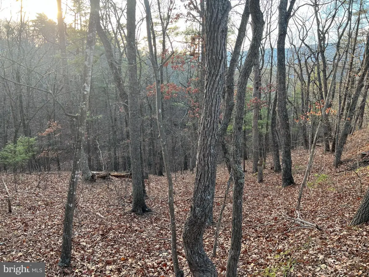 0 Straton, Basye, VA 22810 - Image #1