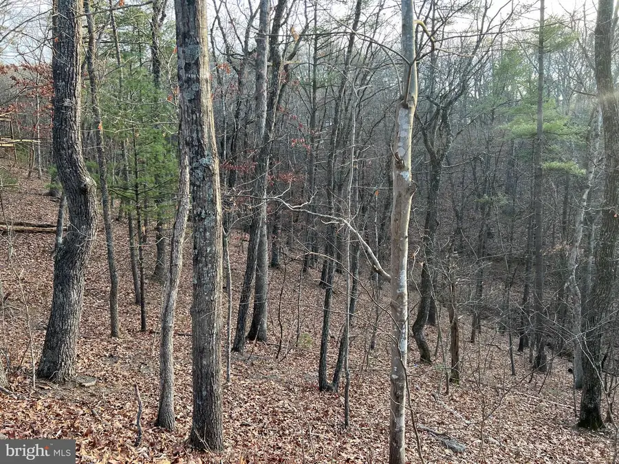 0 Straton, Basye, VA 22810 - Image #3