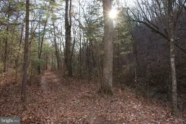 John Marshall Hwy, STRASBURG, VA 22657