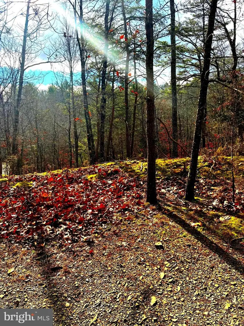 King St, Basye, VA 22810 - Image #1