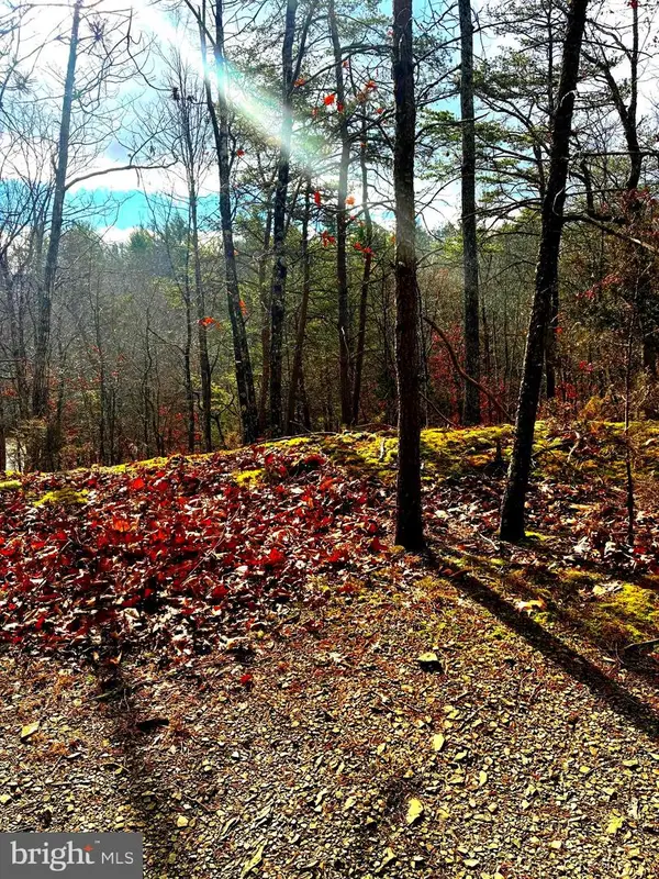 King St, BASYE, VA 22810