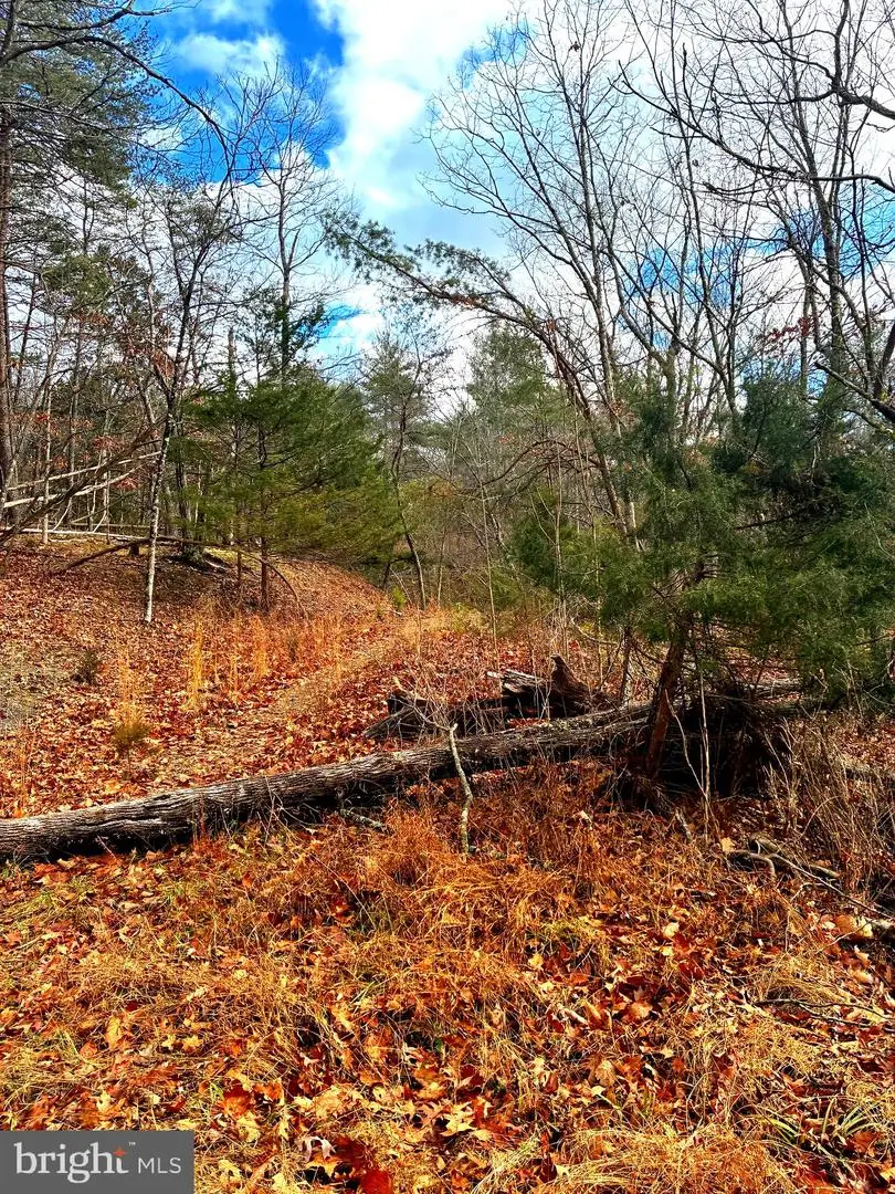 King St, Basye, VA 22810 - Image #2