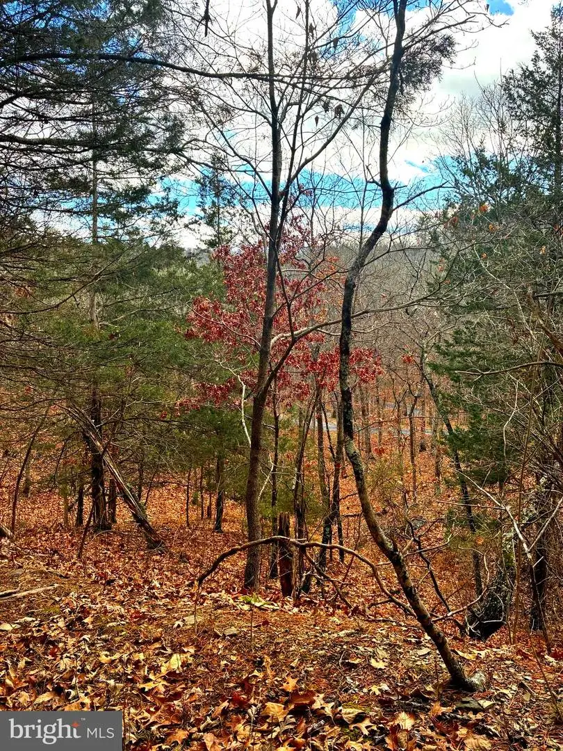 King St, Basye, VA 22810 - Image #3