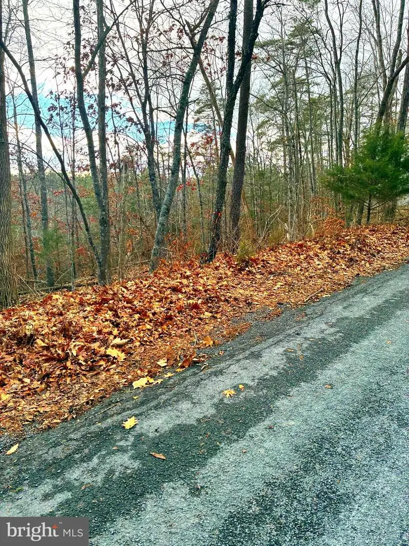 Spitz Ln, Basye, VA 22810 - Image #3