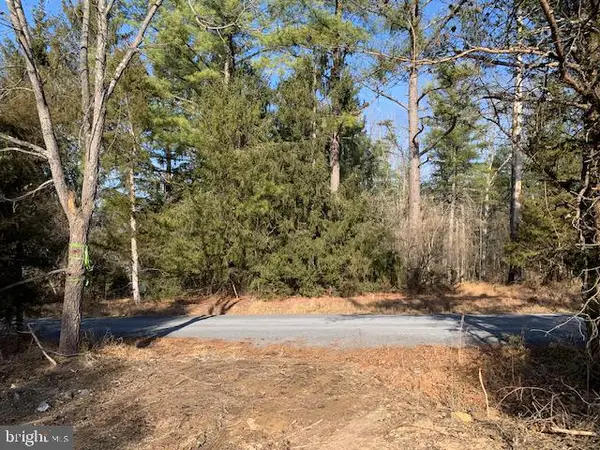 0 Supinlick Ridge Rd, MOUNT JACKSON, VA 22842