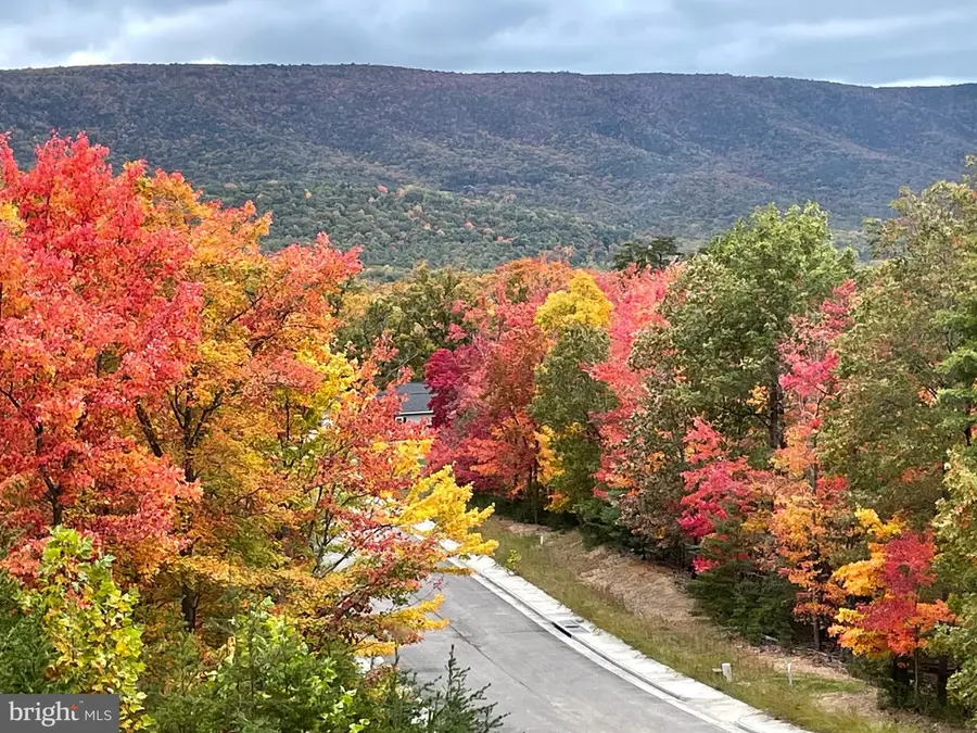 4 Creek Valley Dr, Basye, VA 22810 - Image #3