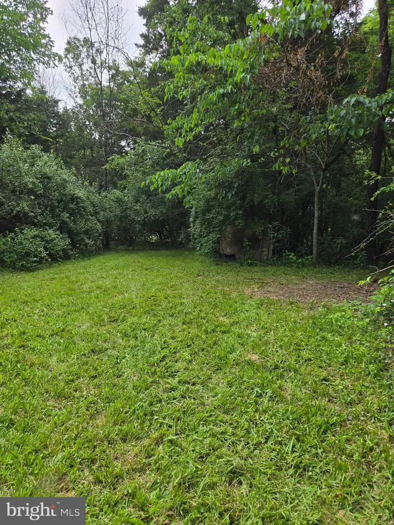 0 Stage Coach Road-chapel Drive, Woodstock, VA 22664 - Image #3