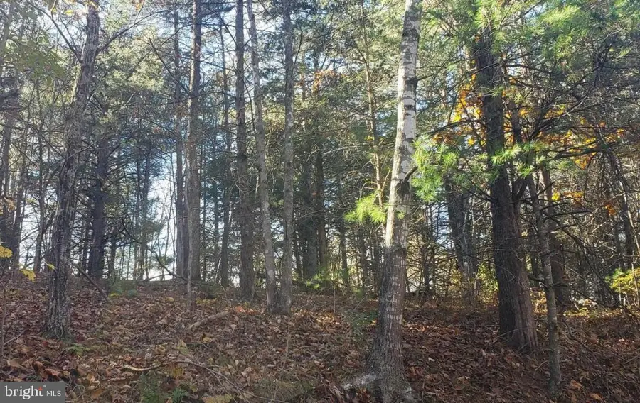 0 Fairway Ave #lot 30, Basye, VA 22810 - Image #2