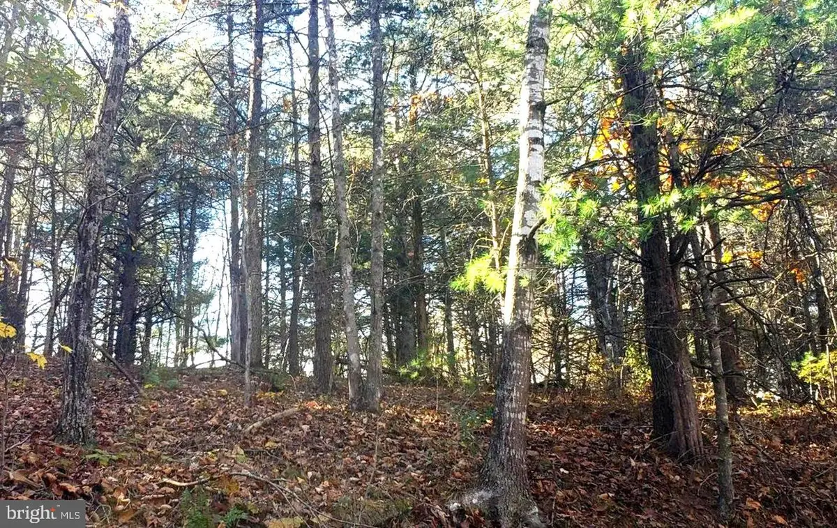 0 Fairway Dr #lot 31, Basye, VA 22810 - Image #1