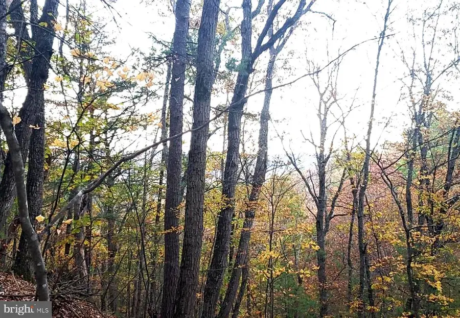 0 Fairway Dr #lot 31, Basye, VA 22810 - Image #2